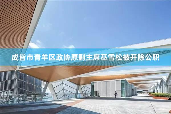 成皆市青羊区政协原副主席巫雪松被开除公职